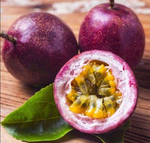 PURPLE PASSION FRUIT   (10 SEEDS)