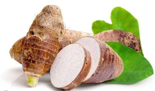 ROOT VEGETABLES  -  TARO  / COCOYAM / AMADUMBE / Colocasia esculenta  -  10 SEEDS