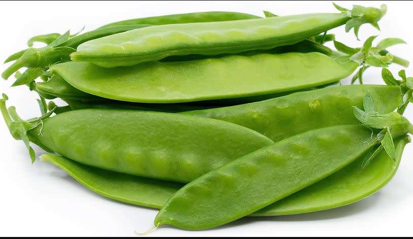 SNOW PEA   `Pois Mangetout`  - 15 SEEDS