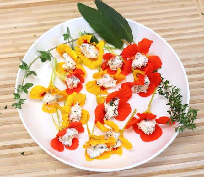 NASTURTIUM VINE - CLIMBING TALL MIX  -  5 SEEDS   `Tropaeolum majus`Edible Flowers