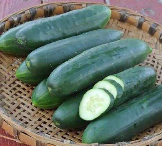 VEGETABLES  -  CUCUMBER  `Poinsett 76`   -  15 SEEDS