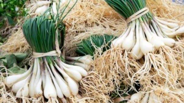 CHIVES  /  `RUSH LEEKS` -  Allium schoenoprasum  -  30 SEEDS