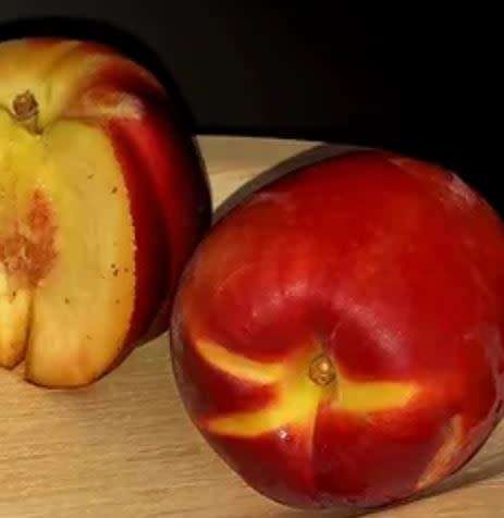 NECTARINE HONEY ROYALE  -  5 SEEDS