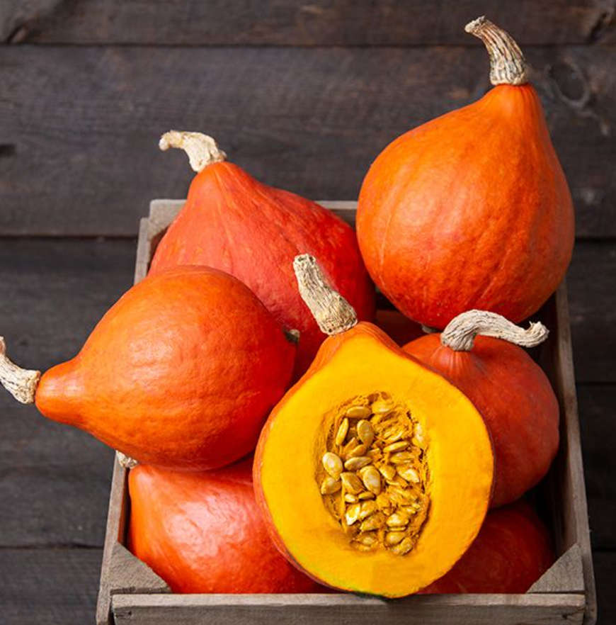 RED KOURI SQUASH / POYIMARRON / HAKKAIDO PUMPKIN     - 10 SEEDS
