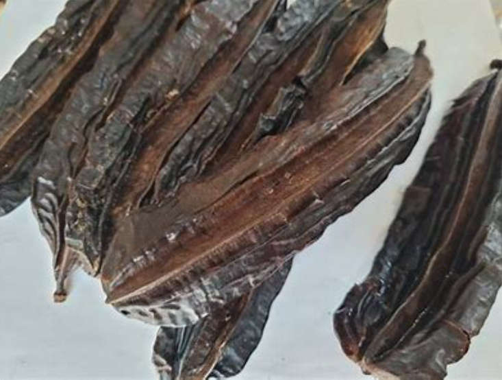 AIDAN FRUIT / UYAYAK / PREKESE /` Tetrapleura tetraptera`  3 SEEDS