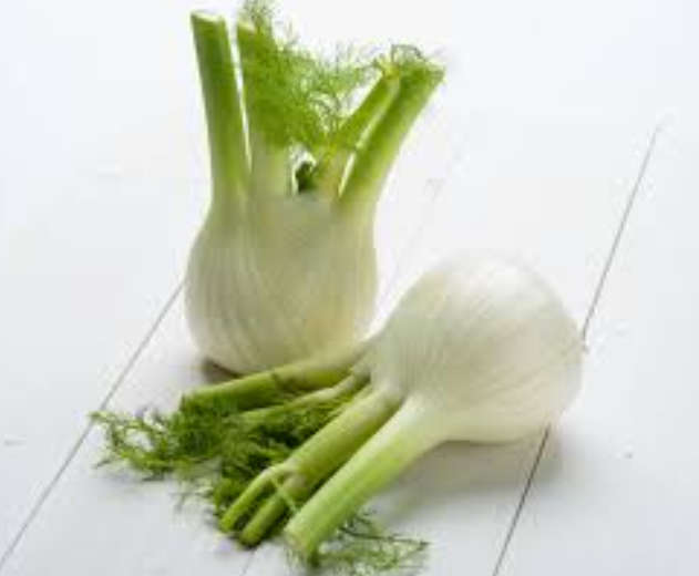 FINOCCHIO / SWEET FLORENCE FENNELL - 15 SEEDS  - culinary herbs & veg