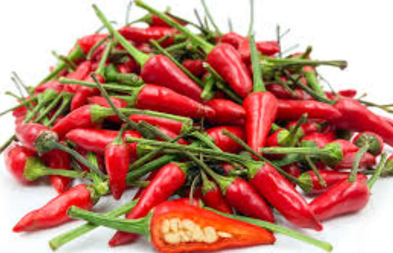 CHILLIES -  BIRD`S EYE / PIRI-PIRI/ THAI/ AJI /DEVIL CHILI  -  20 SEEDS