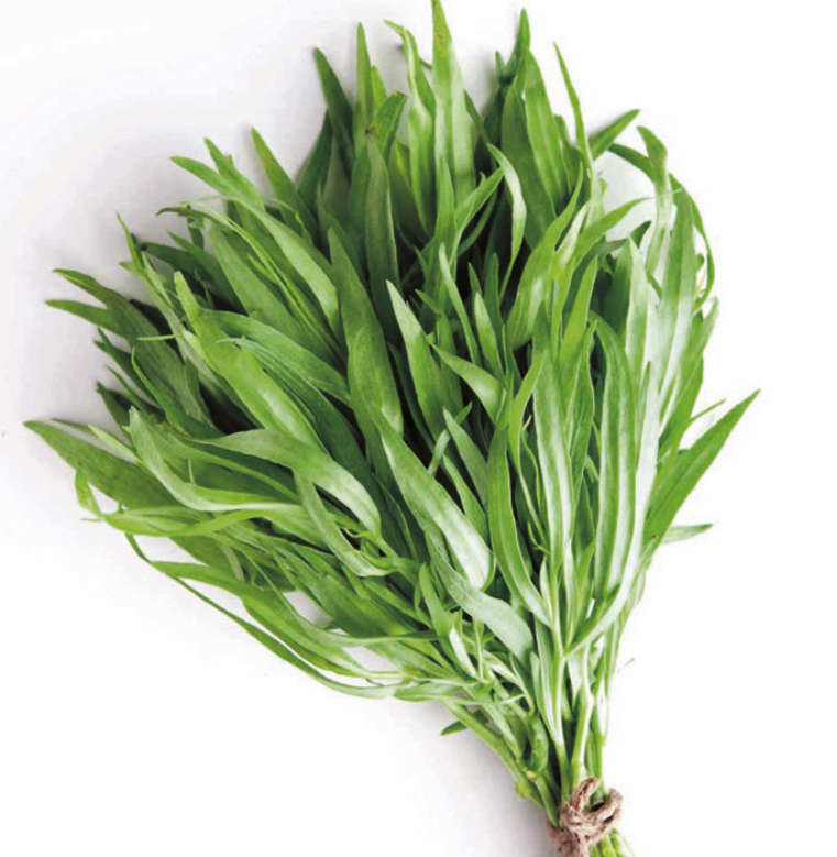 HERBS - RUSSIAN TARRAGON  - Artemisia dracunculoides  - 30 SEEDS