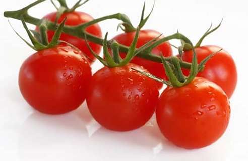 TOMATO VARIETIES - Cherub Tomato Seeds - HEIRLOOMS