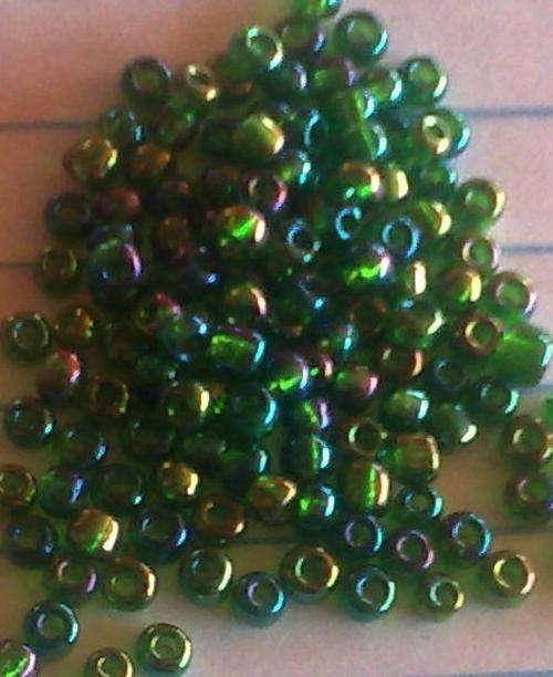 DRAGONFLY SEED BEADS