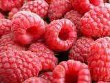 BERRY VARIETIES - Raspberry Seed Pack