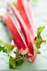 HEIRLOOM VEGETABLE SEEDS - RHUBARB SEED PACK