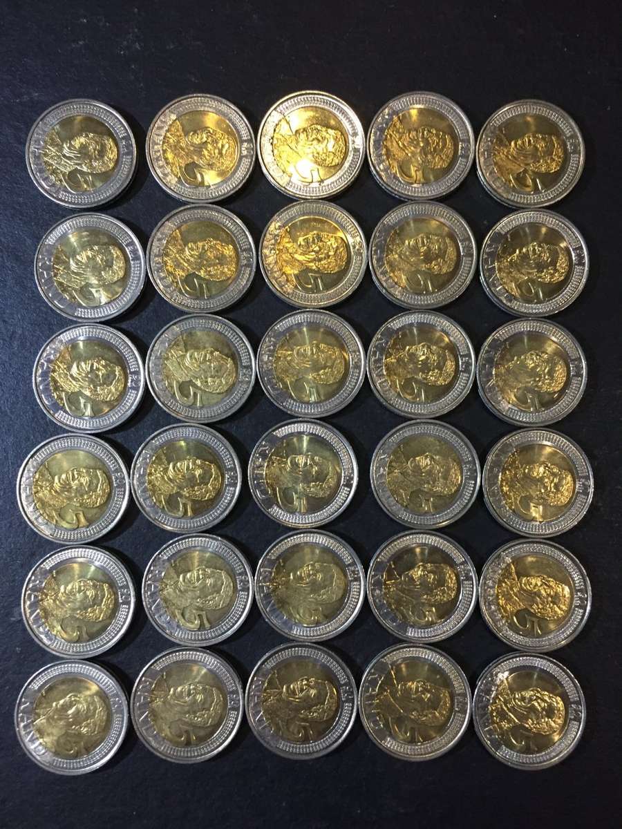 2008   ## R5 ## BIRTHDAY  COIN ## MANDELA  COINS  ##  IN ALMOST UNCIRCULATED CONDITION ##  ##