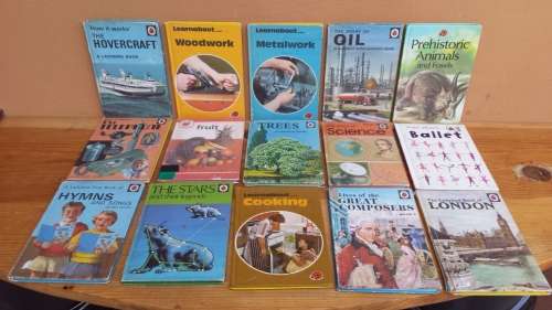 Collection of 15 educational Ladybird books.