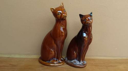 Beautiful pair of brown cats.