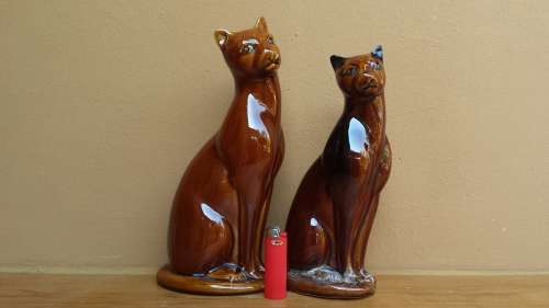 Beautiful pair of brown cats.