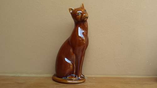 Beautiful pair of brown cats.