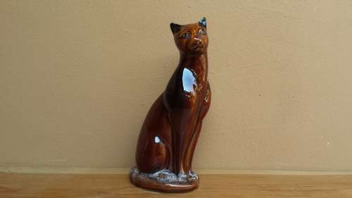 Beautiful pair of brown cats.