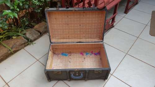 Old Harry Potter trunk.