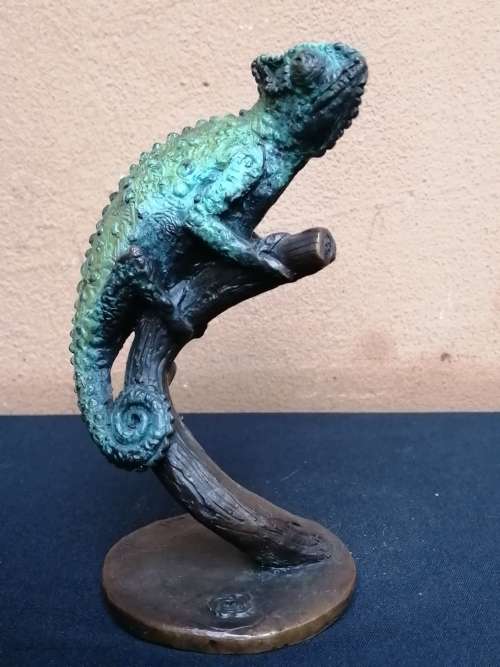 Solid bronze chameleon, sculpture by Sarah Richards.