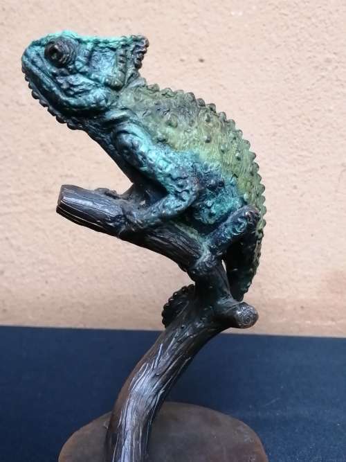 Solid bronze chameleon, sculpture by Sarah Richards.