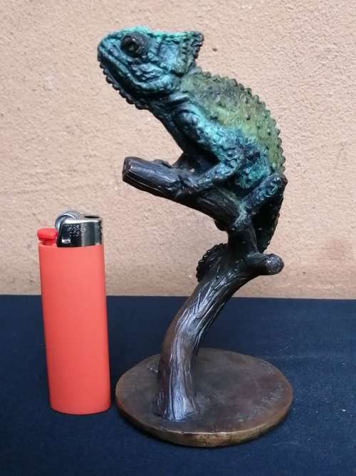 Solid bronze chameleon, sculpture by Sarah Richards.