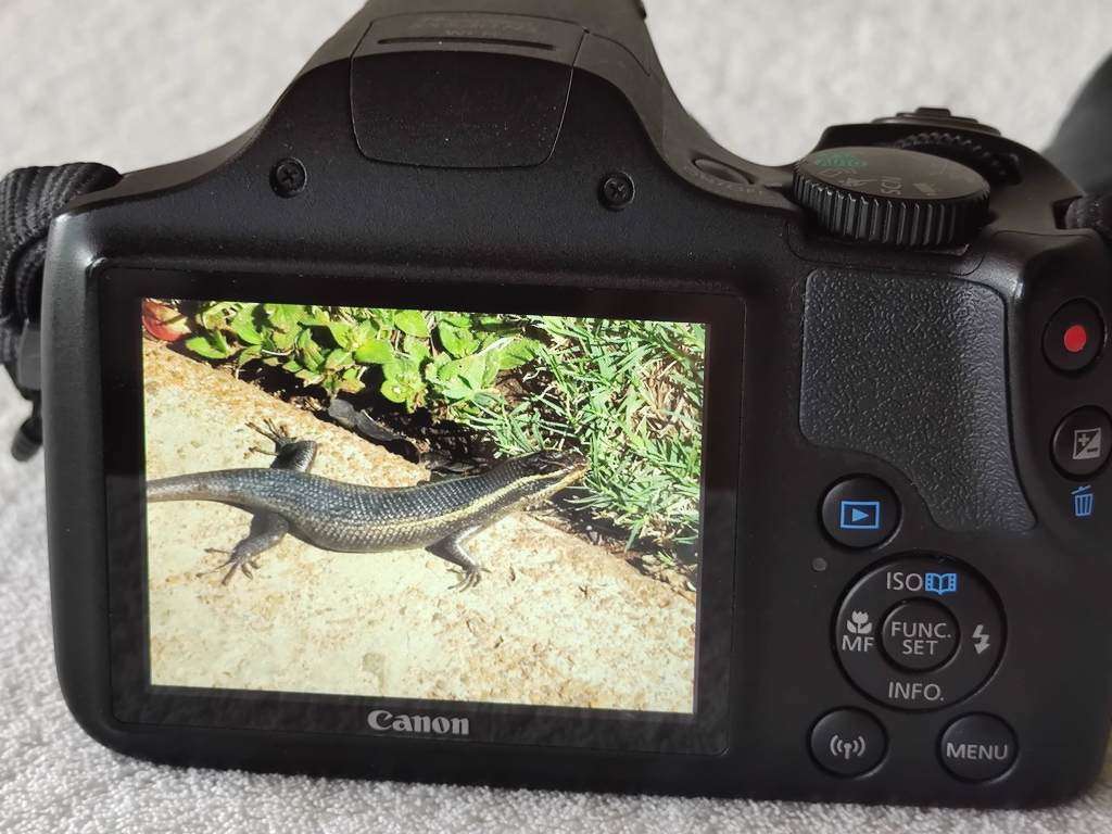 Canon PowerShot SX540 HS - 20.3MP / 50x Zoom / WiFi NFC - Connected Bridge Camera