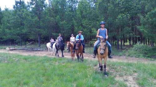 champagne Breakast for 3