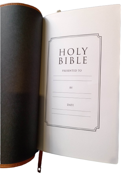 King James Version Giant Print Bible - Gold Gilding