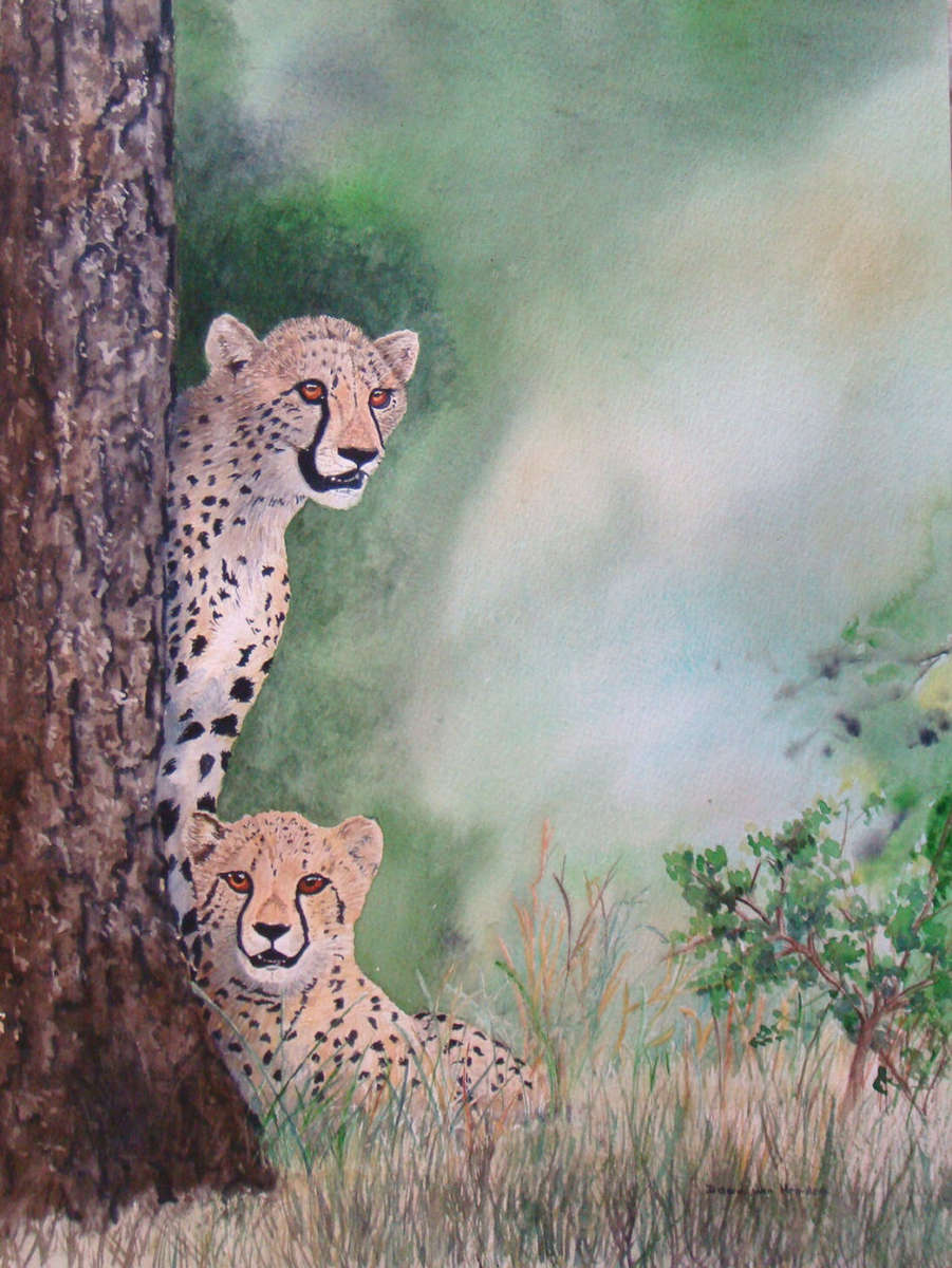WOW ! !   -  BEAUTIFUL CHEETAH CUBS -  By DONA VAN HEERDEN  Size 430mm X 325mm