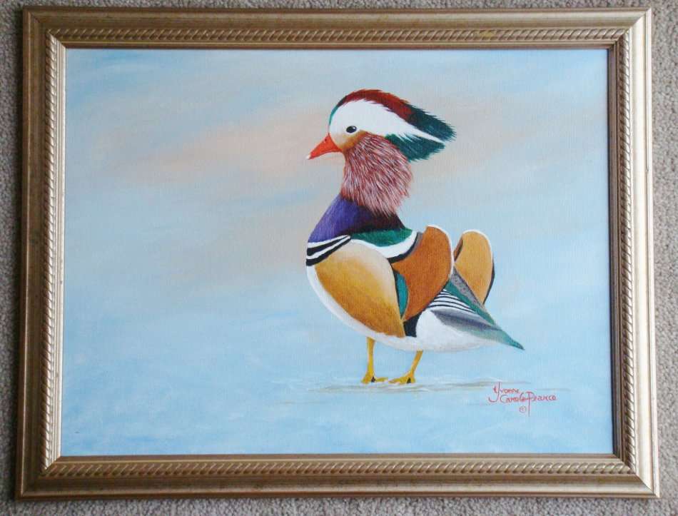 `MANDARIN DUCK`  - Beautifully framed  -   Painted by Yvonne Carola-Pearce  -  Size 450mm x 350mm