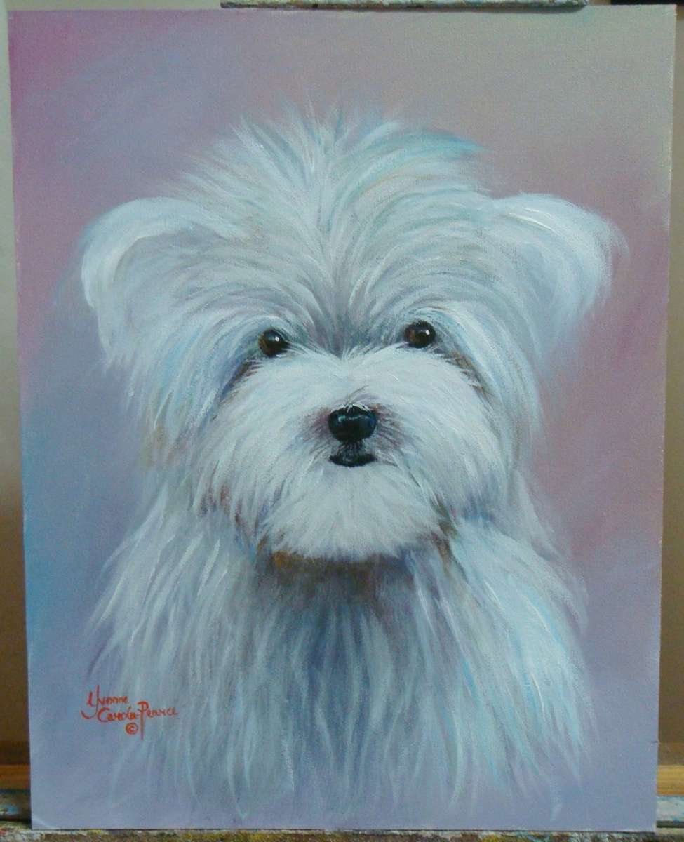 `SNOOPY`  -  BEAUTIFULY FRAMED OIL - ORIGINAL !!  by  Yvonne Carola-Pearce - Size 360mm x 280mm