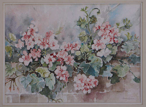 BOBBIE RENECLE watercolour - 'Ivy Geraniums on Garden Wall' - frame is 475mm X 575mm