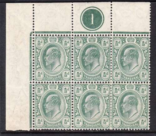 Transvaal 1905-09 KE 1/2d control B6 , plate number 1 , MNH    (crease , SACC 279 , CV R600)