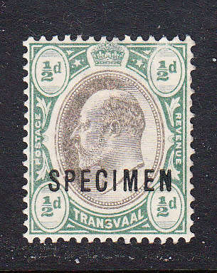 Transvaal 1902 KE 1/2d SPECIMEN , M/H