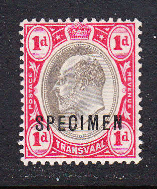 Transvaal 1902 KE 1d SPECIMEN , M/H