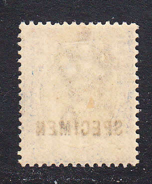 Transvaal 1902 KE 2d SPECIMEN , M/H
