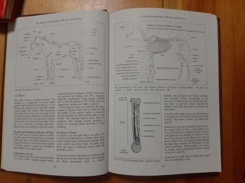 Hickman`s Farriery.  A complete illustrated guide.  John Hickman and Martin Humprey.  1988