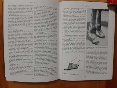 Hickman`s Farriery.  A complete illustrated guide.  John Hickman and Martin Humprey.  1988