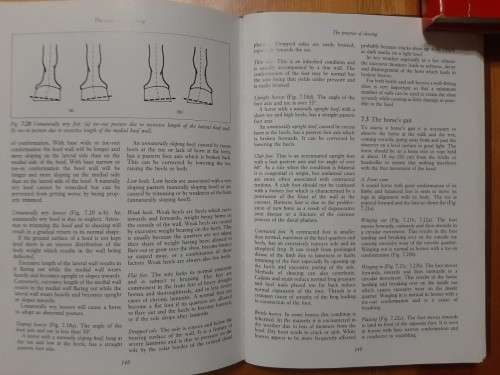 Hickman`s Farriery.  A complete illustrated guide.  John Hickman and Martin Humprey.  1988