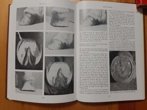 Hickman`s Farriery.  A complete illustrated guide.  John Hickman and Martin Humprey.  1988