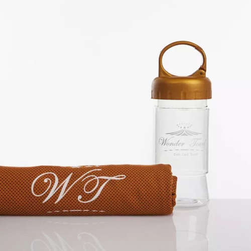 Wonder Towel Eish Cool Towel Ice Towel Gold