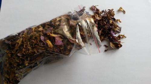 Nymphaea Caerulea - Blue Lotus flowers (Lily)