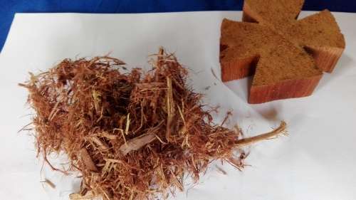 Clavohuasca - Tynanthus Panurensis    100g