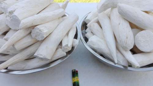 African Dream Root - Uvuma-Omhlope (Synaptolepis Kirkii) Great offer!!! 1 KG. Bulk orders