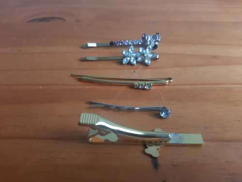 Springbok Tie pin and 4 pretty hair pins