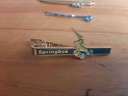 Springbok Tie pin and 4 pretty hair pins