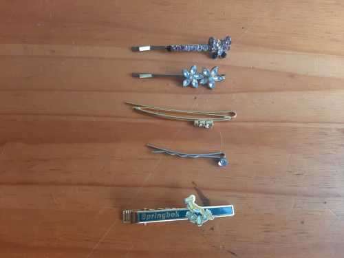 Springbok Tie pin and 4 pretty hair pins