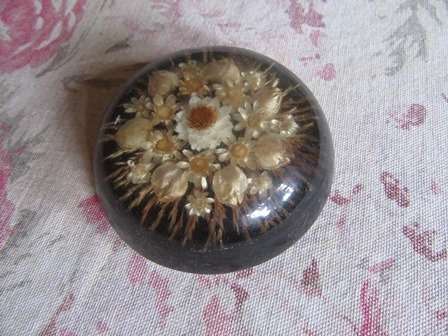 Stunning  Paperweight with Dried Flowers