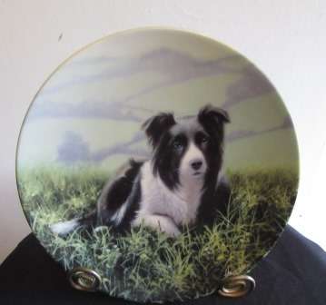 Royal Worcester"Rambler Rest" Collectors Plate